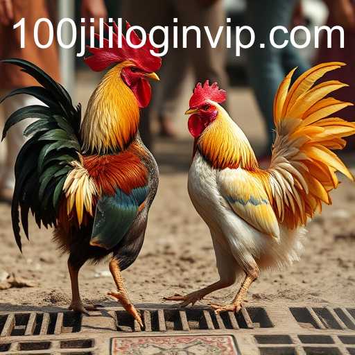 Examining the Tradition and Controversy of Cockfighting in Modern Society